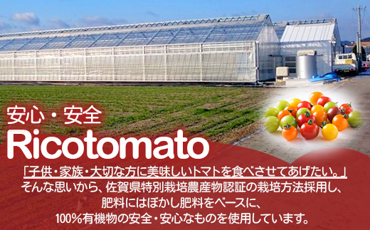 ãå
è¡äºçŽã ãã«ãã¡ãã¡ãŒã ã«ã©ãã«ããããã çŽ1kg ãRicotomato ãšããã«ãªããããã B-280