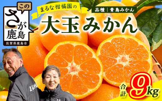 まるな 柑橘園の 大玉 みかん 約9kg サイズ 3L (直径9cm程度)以上 【2026年1月以降配送予定】青島みかん ミカン 蜜柑 佐賀県 鹿島市産 送料無料 B-262