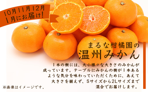 柑橘シーズン限定！　まるな柑橘園のみかんの毎月定期便（柑橘シーズン　６回定期便） I-34