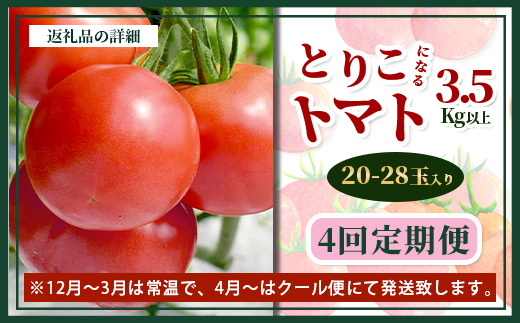 【先行予約】 たにぐちファーム とりこになるトマト 【3.5kg以上×4回定期便】【2024年12月から出荷】Ricotomato とりこになるトマト D-160