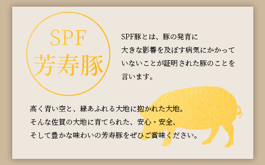 ハンバーグ ウインナー スパイス のお役立ち セット 芳寿豚 SPF豚 国産