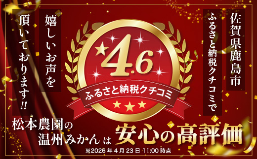 温州みかん 約8kg 佐賀県鹿島産 サイズ混合 | 《先行受付11月上旬より発送予定》みかん ミカン 甘い サイズ混合 小玉含む フルーツ 果物 果実 くだもの 蜜柑 柑橘 国産 冬季 大容量 家庭用 贈答 お取り寄せ 佐賀県 鹿島市 B-804