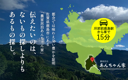 農家民泊 あんちゃん家 ペア宿泊券【1日1組限定/1泊2食】【夕食プレミアムしゃぶしゃぶ+羽釜ご飯】or【夕食グレードアップBBQ/佐賀牛or猪肉で選べる+羽釜ご飯】　佐賀県 鹿島市 民泊 旅行 宿泊 観光 高級 夕食 朝食 一泊二日 農家民泊 大自然　N-28