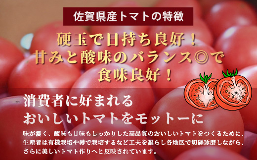 佐賀県農業協同組合 施設トマト部会 佐賀県産トマト約4kg【3月上旬～5月下旬随時出荷予定】 JAトマト B-805