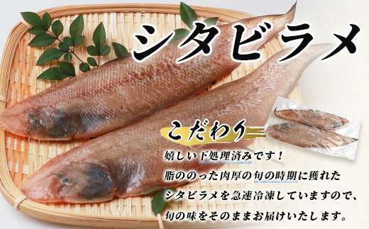 冷凍芝エビ（真エビ）1kg（500g×2パック）＆有明海産 シタビラメ約150g×2尾【有明海の恵】簡単調理 セット B-569