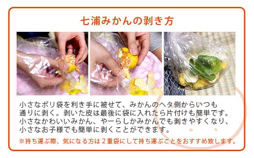 【先行予約】（2026年11月上旬～発送）”わーがと”鹿島産がばい訳アリみかん 約6kg【サイズ別】【期日指定不可】国産 佐賀県産 ミカン 蜜柑 果物 フルーツ AA-39