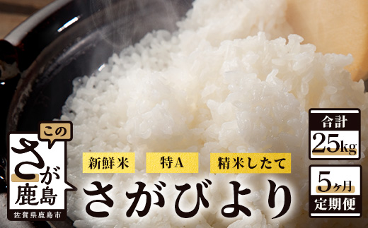 F-52【新鮮米】佐賀県鹿島市産さがびより 白米5kg定期便（５か月お届け）
