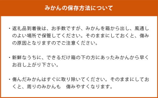 【先行予約】（2026年11月上旬～発送）”わーがと”鹿島産がばい訳アリみかん 約6kg【サイズ別】【期日指定不可】国産 佐賀県産 ミカン 蜜柑 果物 フルーツ AA-39