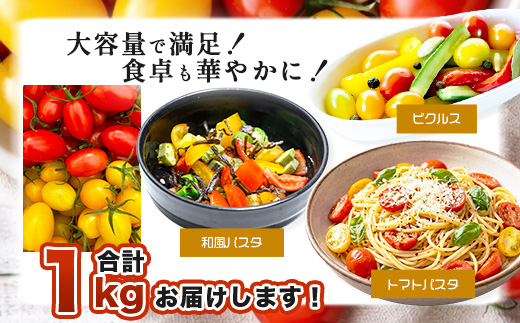 岩永さんちの カラフル ミニトマト | アイコ赤･黄MIX 1kg |【農林水産大臣賞受賞】有機肥料・化学肥料不使用 | 生産者直送 野菜 トマト 1kg とまと プチトマト サラダ やさい 旬 新鮮 おやつ お弁当 人気 佐賀県 鹿島市 B-893