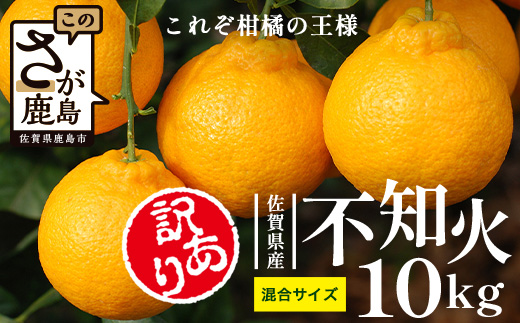 B-896【訳あり】 佐賀産不知火 約10kg（箱込み）佐賀県 鹿島市