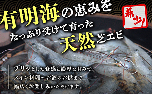 AA-19《出荷最盛期》冷凍芝エビ500g・冷凍シジミ500g