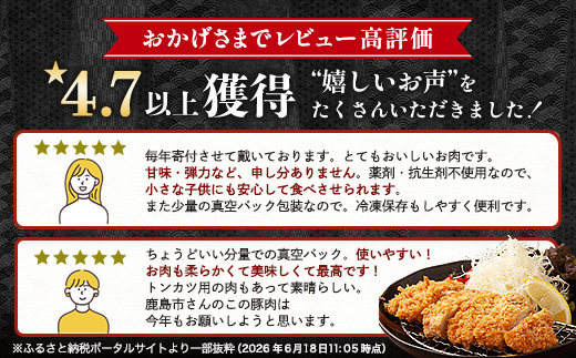 豚肉 小分け SPFプレミアムポーク 芳寿豚 まんぷくセット 計2.8kg 佐賀県 鹿島市 D-62