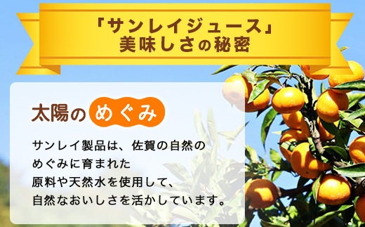 B-459 ＼工場直送／ 佐賀県産温州みかん100% サンレイみかん100|1000ml×6本|合計6L|たっぷり飲める！佐賀県産温州みかん★濃縮還元 |朝食・おやつに◎オレンジジュース みかんジュース 蜜柑 果物 飲料 飲み物 箱買い ストック 大容量 送料無料 リピーター 人気 