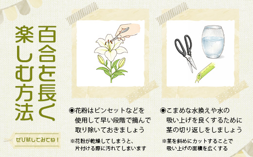 【生産者直送】【幸せと笑顔を届けるオリエンタルリリィ（約5本）】ユリ 百合 花 切り花 フラワー 艶やか 美しい 華やか 可憐 鮮やか 長持ち 強い 有機肥料 自然 人気 ラッピング プレゼント 贈り物 贈答 佐賀県 鹿島市 送料無料 B-313