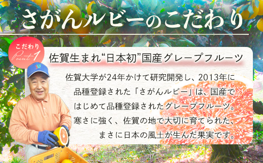 数量限定【先行予約】日本初！幻の国産グレープフルーツ！【さがんルビー 5kg（中玉12～16個）】メディアも注目◆ジューシー柑橘｜柑橘 果物 フルーツ 生産者直送の安心品質 【3月下旬頃より順次発送予定】佐賀県 鹿島市 送料無料 B-2