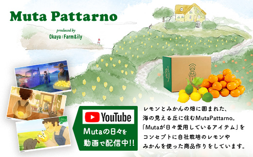 螳晞涕蟇ソ繝ャ繝「繝ウ縺ョ邊セ豐ケ繧剃スソ逕ィ縺励◆縲伸EMON BALMシ医Ξ繝「繝ウ繝舌シ繝シ峨 1蛟 菴占ウ逵 鮖ソ蟲カ蟶 A-222