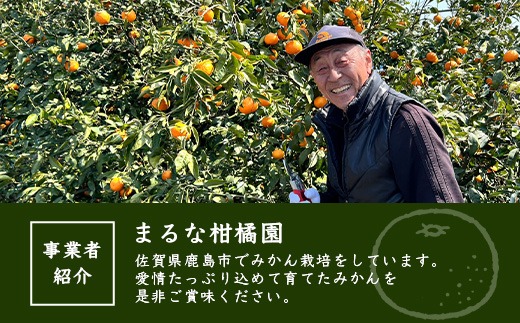 ãŸããª ææ©å㮠倧ç ã¿ãã çŽ9kg ãµã€ãº 3L (çŽåŸ9cmçšåºŠ)ä»¥äž ã2026幎1æä»¥éé
éäºå®ãéå³¶ã¿ãã ãã«ã³ èæ äœè³ç 鹿島åžç£ éæç¡æ B-262