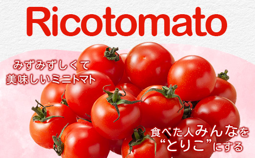 ãå
è¡äºçŽãã2025幎12æäžæ¬ããåºè·ããã«ãã¡ãã¡ãŒã å®çããããã çŽ1kg ãRicotomato ãšããã«ãªããããã B-324