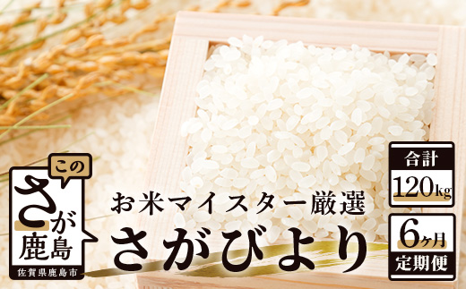 R-1 《6ヶ月定期便》鹿島市産さがびより　白米（毎月２０ｋｇ×６回）