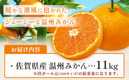 佐賀県産 温州みかん 約11kg（2L～3L混載）大玉みかん【11月下旬～1月上旬ごろ配送】B-802