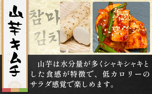 熟成発酵無添加キムチ　詰め合わせセット（山芋キムチ　切干大根キムチ　麻薬卵　ナッツキムチ）C-159