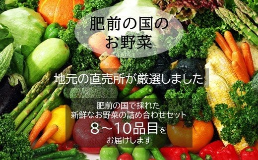 F-20  【6ヶ月お届け】【野菜ソムリエ選定】肥前の国のお野菜定期便