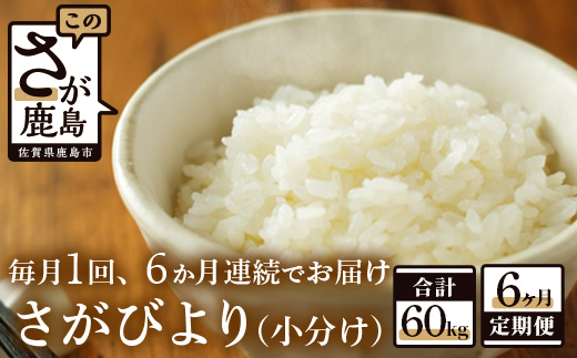 L-34【新鮮米】鹿島市産さがびより１０kg×６か月定期便【１等米】