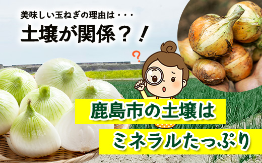 縲蝉コ育エ蜿嶺サ倥鷹ケソ蟲カ蟶ら肇 譁ー邇峨ュ縺 蜷郁ィ10kg B-842 縺溘∪縺ュ縺 邇芽続 繧オ繝ゥ繝 譁咏炊縲2026蟷エ4譛井クュ譌ャ繧医j鬆谺。逋コ騾√