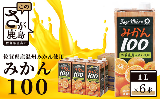 B-459 サンレイ『みかん100』 1L×6本（果汁100％）