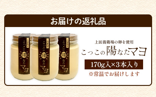 ＼濃厚卵のマヨネーズ／瓶詰め マヨネーズ 3本セット | 上田養鶏場のこっこの陽なたマヨ 170g | マヨネーズ マヨ 調味料 たまご 平飼い お料理 安心 安全 玉子 サラダ ディップ ポテトサラダ ドレッシング 送料無料　B-812