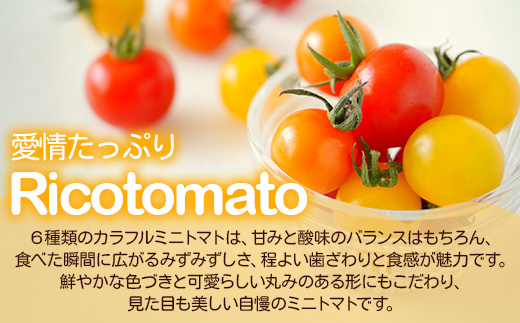 【先行予約】 カラフルミニトマト 『Ricotomato』 【1kg×4回定期便】 【2026年1月から出荷】 F-25