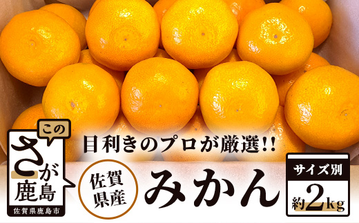 予約受付 AA-38【目利きのプロが厳選】佐賀県産みかん 約2kg（サイズ別）