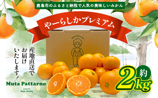 ãå
è¡äºçŽããçºéã¯2026幎10æäžæ¬ãã11æäžæ¬ãããããŒãããã¿ããâãã¬ãã¢ã âçŽ2kgïŒç®±èŸŒã¿ééïŒïœãæ°ééå®ãå°ç²ãµã€ãº ãå®¶åºçšïœäžå£ã§é£ã¹ãããæ¿çž®æšã¿ ïœçç£è
çŽé åœç£ äœè³çç£ ãã«ã³ èæ æç© ãã«ãŒã éæç¡æ A-224