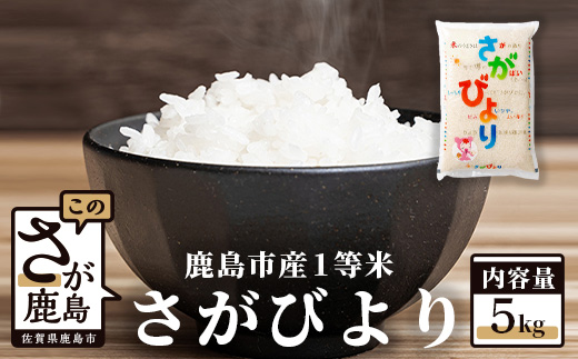 B-352【新鮮米】1等米 佐賀県鹿島産さがびより白米5kg 令和4年産