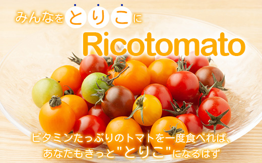 【先行予約】 カラフルミニトマト 『Ricotomato』 【1kg×4回定期便】 【2026年1月から出荷】 F-25