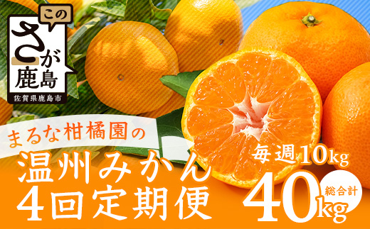 鹿島市産　まるな柑橘園の温州みかん　毎週１回　月４回定期便　F-62