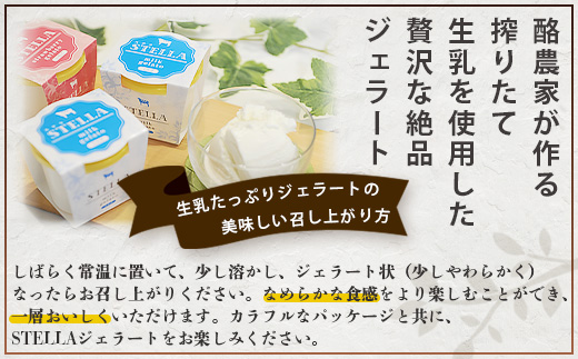 B-30 牧場直送！食べ比べ|しぼりたて生乳|極上ジェラートSTELLA8個90g×8個|ミルク 抹茶 いちご きなこ4種×2個| 厳選素材 アイス プレゼント 贈り物 お中元 お歳暮 ご自宅用 美味しい贅沢 絶品 上質 佐賀県 鹿島市 冷凍 送料無料 