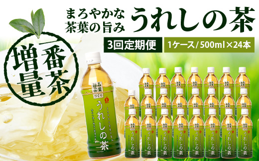 工場直送！うれしの茶 500ml×24本入 《3回 定期便》箱買い セット お茶 飲料 緑茶 飲み切りサイズ うれしの 嬉野茶 ペットボトル 24本入り 500ml ストック ギフト 贈り物 贈答 お中元 お歳暮 季節の変わり目 旬 備蓄 備え 佐賀県 鹿島市 F-97