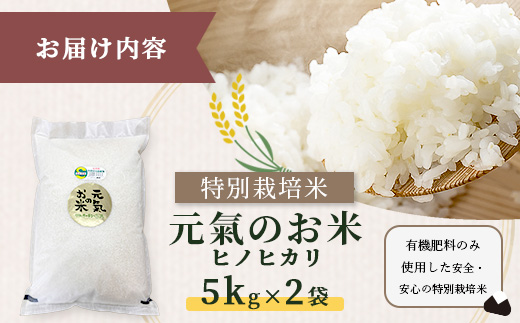 縲蝉サ、蜥7蟷エ逕」 縺顔アウ10kg(5kgテ2)|繝偵ヮ繝偵き繝ェ 逋ス邀ウ縲代千函逕」閠逶エ騾√大ケク縺帙→隨鷹。斐r螻翫¢繧句豌」縺ョ縺顔アウス應ス占ウ逵檎音蛻・譬ス蝓ケ霎イ逕」迚ゥス懷喧蟄ヲ霎イ阮ャ繝サ蛹門ュヲ閧・譁吩ク堺スソ逕ィス懈眠邀ウ 邊セ邀ウ 譛画ゥ溯ぇ譁 菴占ウ逵 鮖ソ蟲カ蟶 D-219