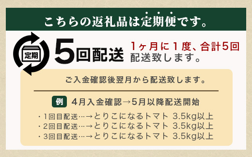 【先行予約】たにぐちファーム とりこになるトマト 【3.5kg以上×5回定期便】【2024年12月から出荷】 Ricotomato とりこになるトマト D-161