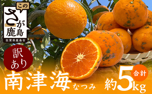 【希少な柑橘・期間限定】訳あり南津海（なつみ） 5kg　　B-484