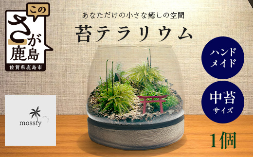 H-53　苔テラリウム　手入れ簡単 癒やしのインテリア 卓上サイズ 誕生日 プレゼント雑貨 敬老の日 贈り物 観葉植物 初心者 鹿島市産 / mossty