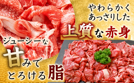 佐賀牛 切り落とし 500g×2【合計1kg】牛肉 肉 佐賀牛 切り落し 切落し 切りおとし D-186