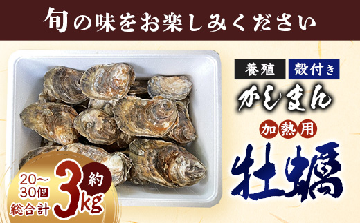 【期間限定】【牡蠣】【有明海】かしまん牡蠣(養殖）殻付き　3kg　かき　佐賀県　鹿島市　有明海　C-114