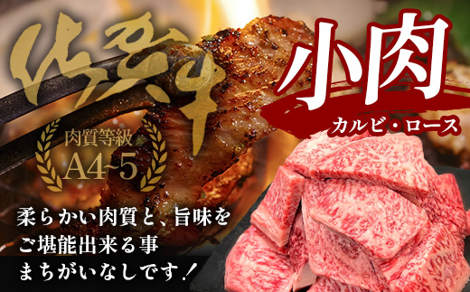 佐賀牛小肉500g（カルビ、ロース）B-840