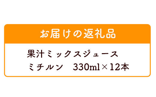 果汁ミックスジュース　ミチルン　330ml×12本　B-763