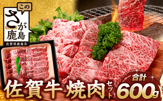 佐賀牛 焼肉セット 600g BBQ バーベキュー 焼き肉 バラ モモ D-191