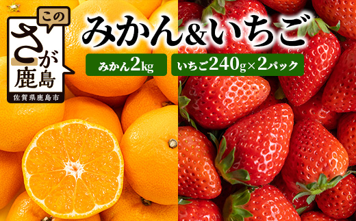 【予約受付】【目利きのプロが厳選】佐賀県産みかん約2kg＆イチゴ セット いちご 苺 みかん 蜜柑 ミカン フルーツ 果物 ギフト 贈物 プレゼント 贈答 セット B-668