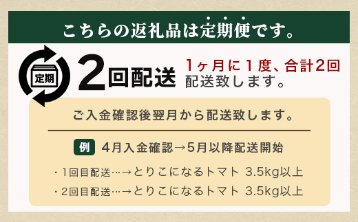 【先行予約】 たにぐちファーム とりこになるトマト 【3.5kg以上×2回定期便】【2024年12月から出荷】 Ricotomato トマト B-508