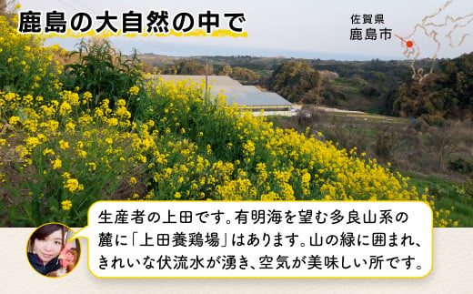 C-54 佐賀鹿島産 平飼い卵「うみとやまとこっこ」上田養鶏場 たまご60個